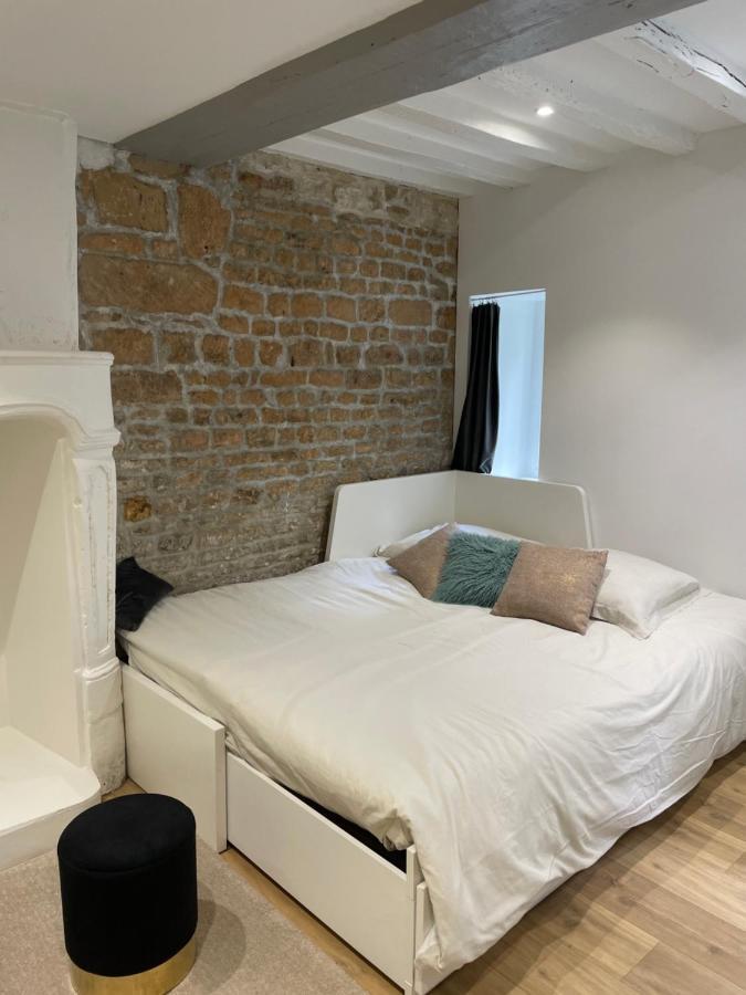 Superbe Appartement Avec Acces Patio Caen Eksteriør billede